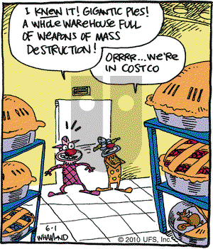 Reality Check on Tuesday June 1, 2010 Comic Strip