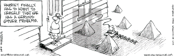 Non Sequitur on Saturday June 29, 2002 Comic Strip