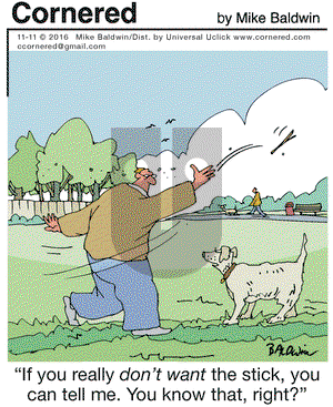 Cornered on Friday November 11, 2016 Comic Strip