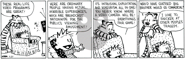 Calvin and Hobbes on Tuesday July 27, 1993 Comic Strip