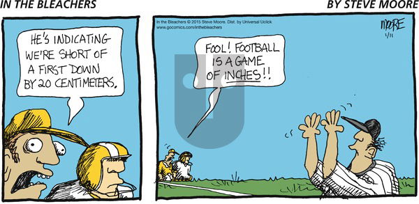 In the Bleachers on Sunday January 11, 2015 Comic Strip