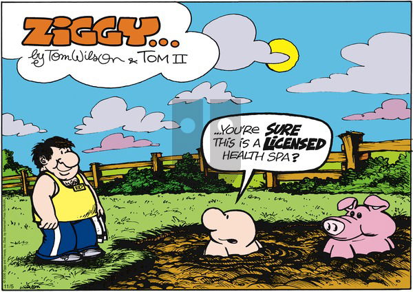 Ziggy on Sunday November 5, 2006 Comic Strip