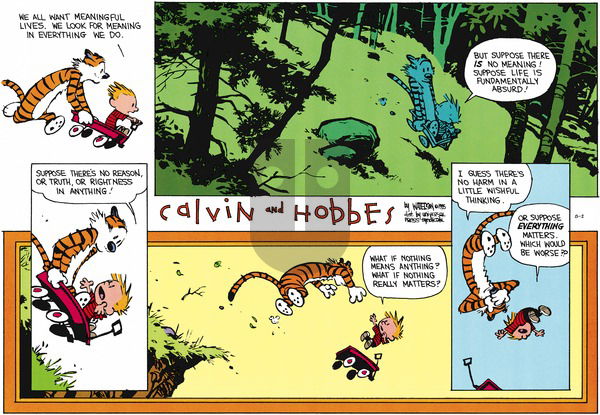 Calvin and Hobbes - Sunday August 2, 2015 Comic Strip