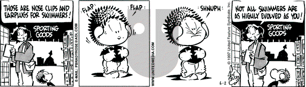 Rose is Rose on Monday June 2, 1997 Comic Strip