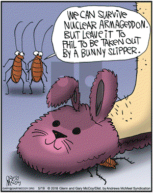 The Flying McCoys on Saturday May 19, 2018 Comic Strip