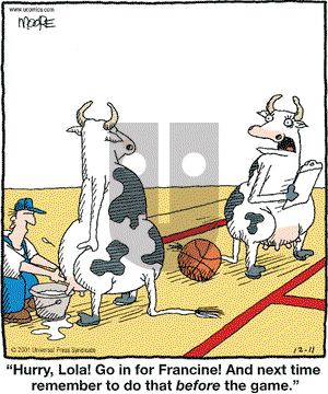 In the Bleachers on Tuesday December 11, 2001 Comic Strip