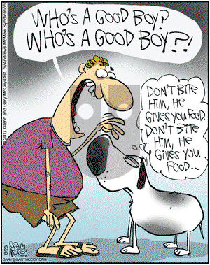 The Flying McCoys on Wednesday August 23, 2017 Comic Strip