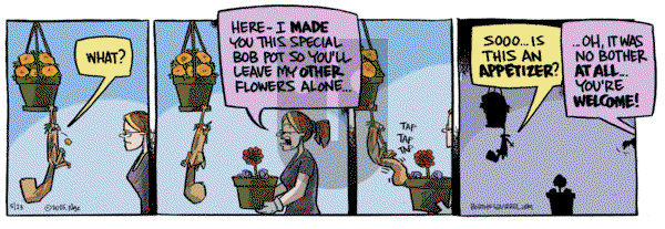 Bob the Squirrel on Friday May 23, 2025 Comic Strip