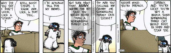 Get Fuzzy - Tuesday August 16, 2022 Comic Strip