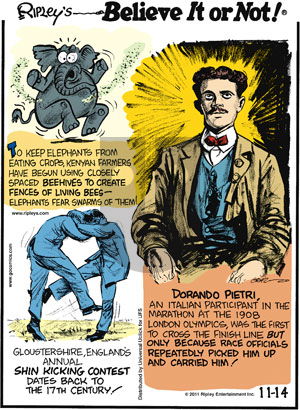 Ripley's Believe It or Not - Monday November 14, 2011 Comic Strip