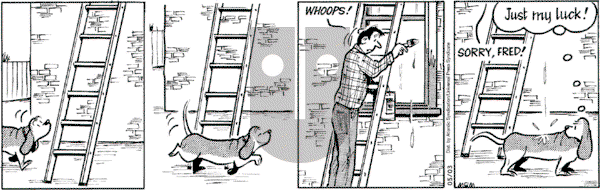 Fred Basset on Wednesday May 3, 2006 Comic Strip