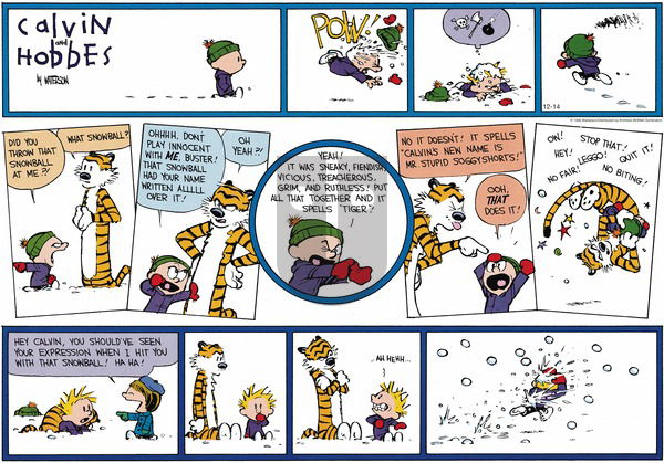 Calvin and Hobbes on Sunday December 14, 2025 Comic Strip