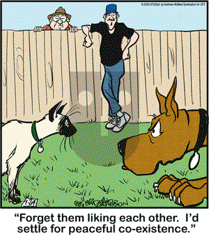 Marmaduke on Friday July 24, 2020 Comic Strip