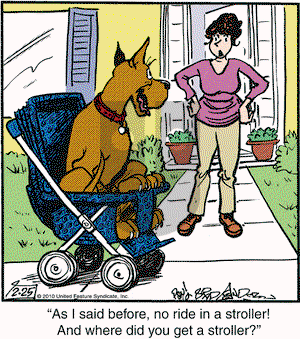 Marmaduke on Thursday February 25, 2010 Comic Strip