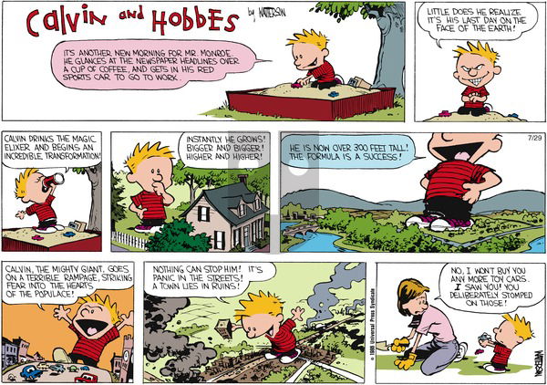 Calvin and Hobbes on Sunday September 15, 1991 Comic Strip