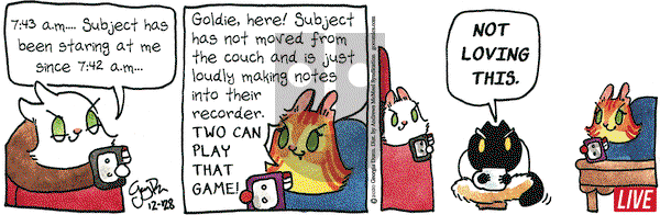 Breaking Cat News on Monday December 28, 2020 Comic Strip
