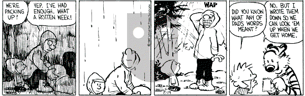Calvin and Hobbes - Wednesday August 19, 1987 Comic Strip