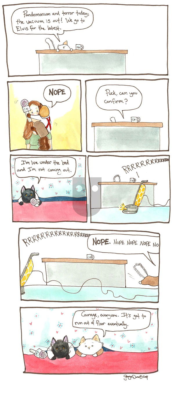 Breaking Cat News on Sunday September 4, 2016 Comic Strip