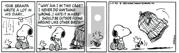 Peanuts on Friday January 7, 1994 Comic Strip