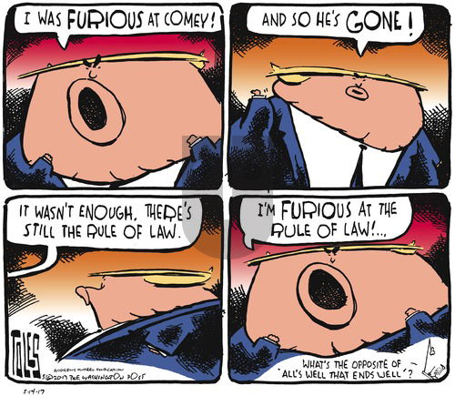 Tom Toles on Sunday May 14, 2017 Comic Strip