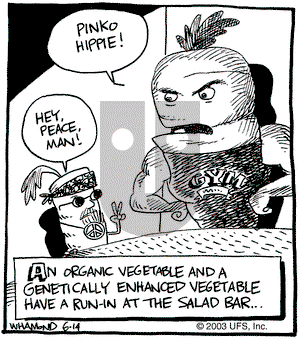 Reality Check on Saturday June 14, 2003 Comic Strip