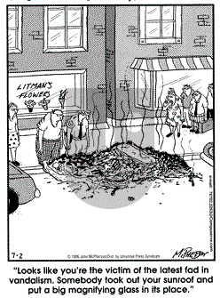 Close to Home - Tuesday July 2, 1996 Comic Strip