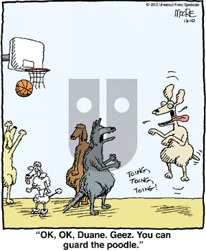 In the Bleachers - Tuesday December 10, 2002 Comic Strip