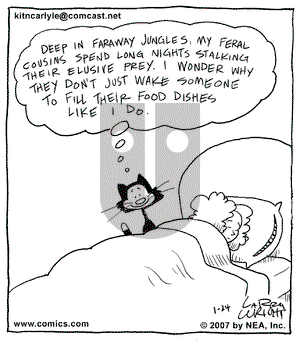 Kit 'N' Carlyle on Wednesday January 24, 2007 Comic Strip
