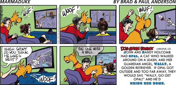 Marmaduke on Sunday February 19, 2017 Comic Strip