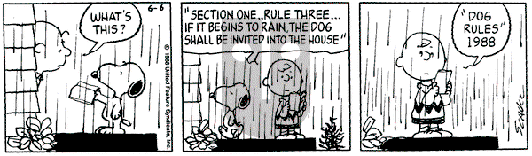Peanuts on Monday June 6, 1988 Comic Strip