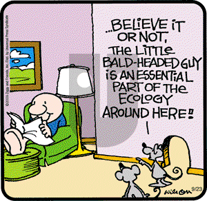 Ziggy - Wednesday September 23, 2009 Comic Strip