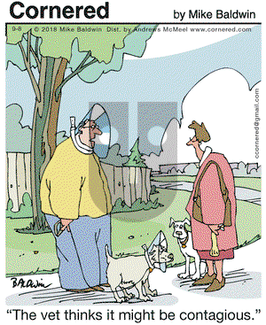 Cornered on Saturday September 8, 2018 Comic Strip