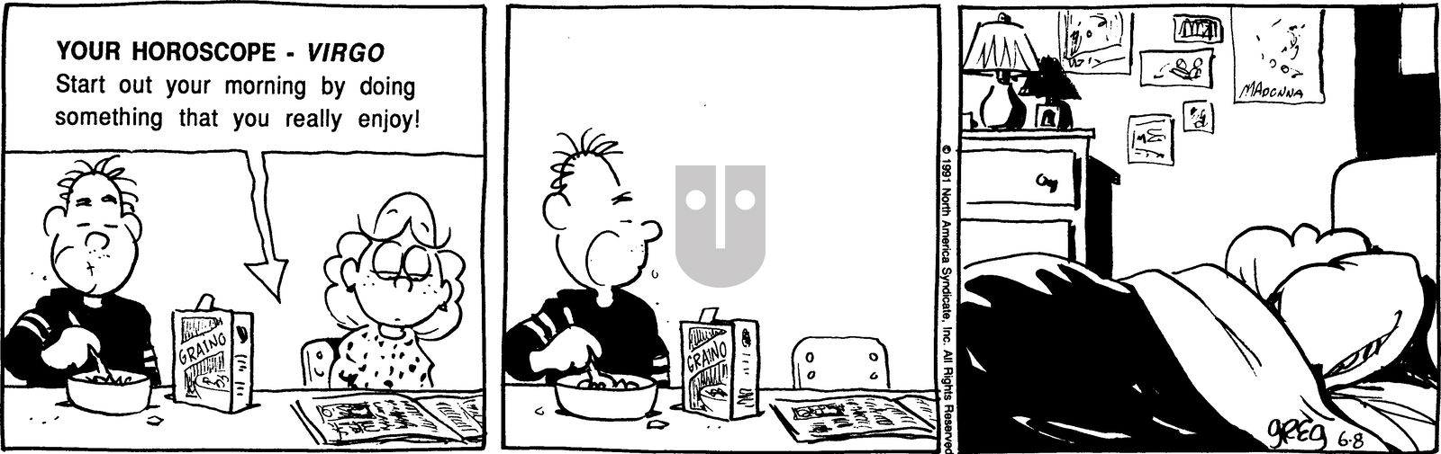 Luann - Saturday June 8, 1991 Comic Strip