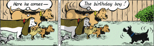 Fred Basset on Tuesday August 24, 2021 Comic Strip