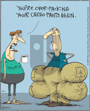 The Flying McCoys on Tuesday July 21, 2009 Comic Strip