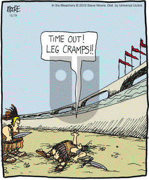 In the Bleachers - Friday December 17, 2010 Comic Strip