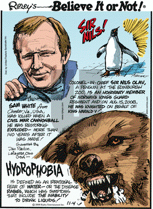 Ripley's Believe It or Not on Tuesday November 4, 2008 Comic Strip