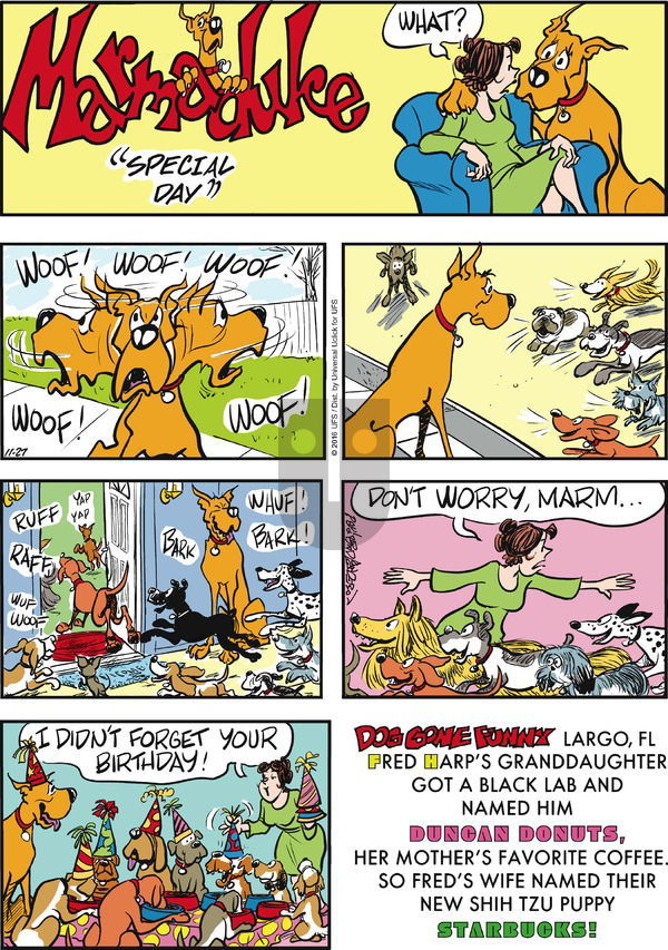 Marmaduke on Sunday November 27, 2016 Comic Strip