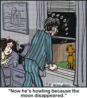 Marmaduke - Friday November 8, 2024 Comic Strip