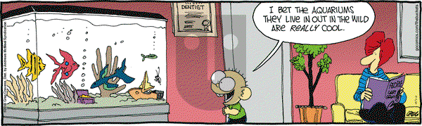 The Buckets on Wednesday July 4, 2018 Comic Strip