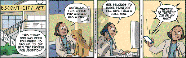 Heart of the City - Friday November 29, 2024 Comic Strip