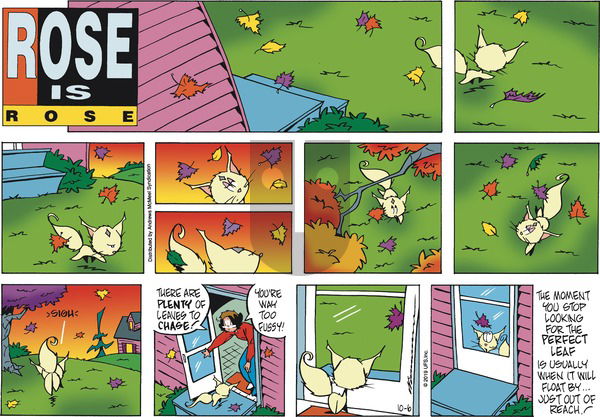 Rose is Rose on Sunday October 6, 2019 Comic Strip