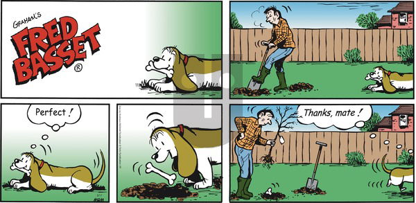 Fred Basset on Sunday March 17, 2019 Comic Strip