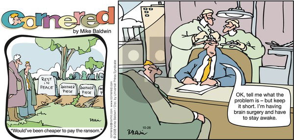 Cornered on Sunday October 26, 2008 Comic Strip