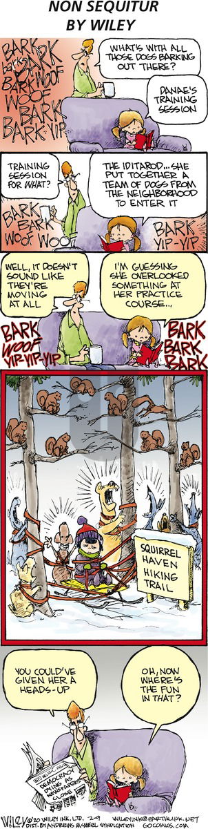 Non Sequitur on Sunday February 9, 2020 Comic Strip