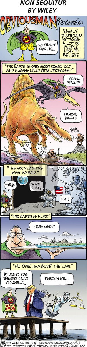Non Sequitur on Sunday July 8, 2018 Comic Strip