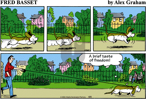 Fred Basset on Sunday June 6, 2004 Comic Strip