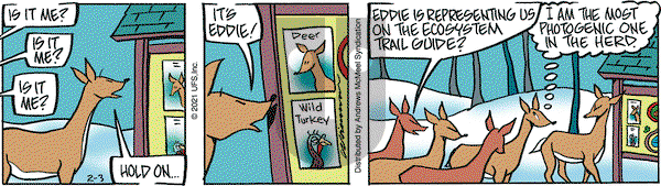 Rose is Rose on Wednesday February 3, 2021 Comic Strip