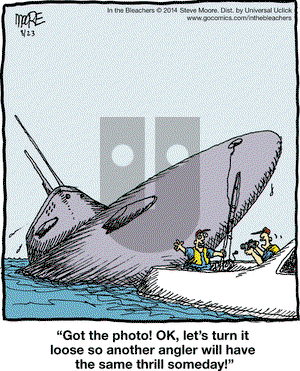 In the Bleachers on Saturday August 23, 2014 Comic Strip