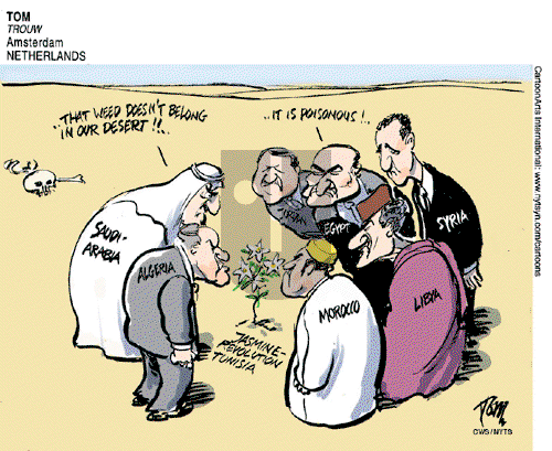 Views of the World on Sunday January 23, 2011 Comic Strip